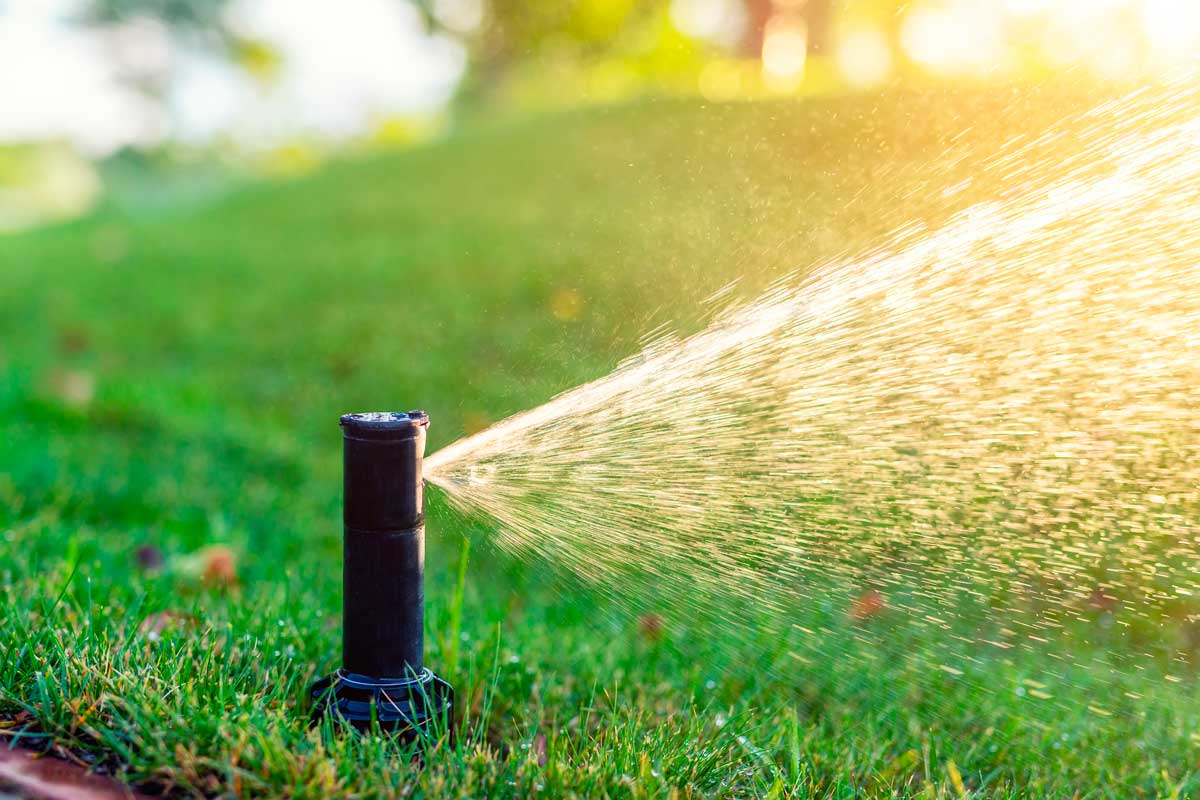 Como manejar el riego automático de tu jardín